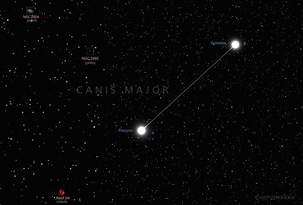 Constellation Canis Minor the Lesser Dog Star Map